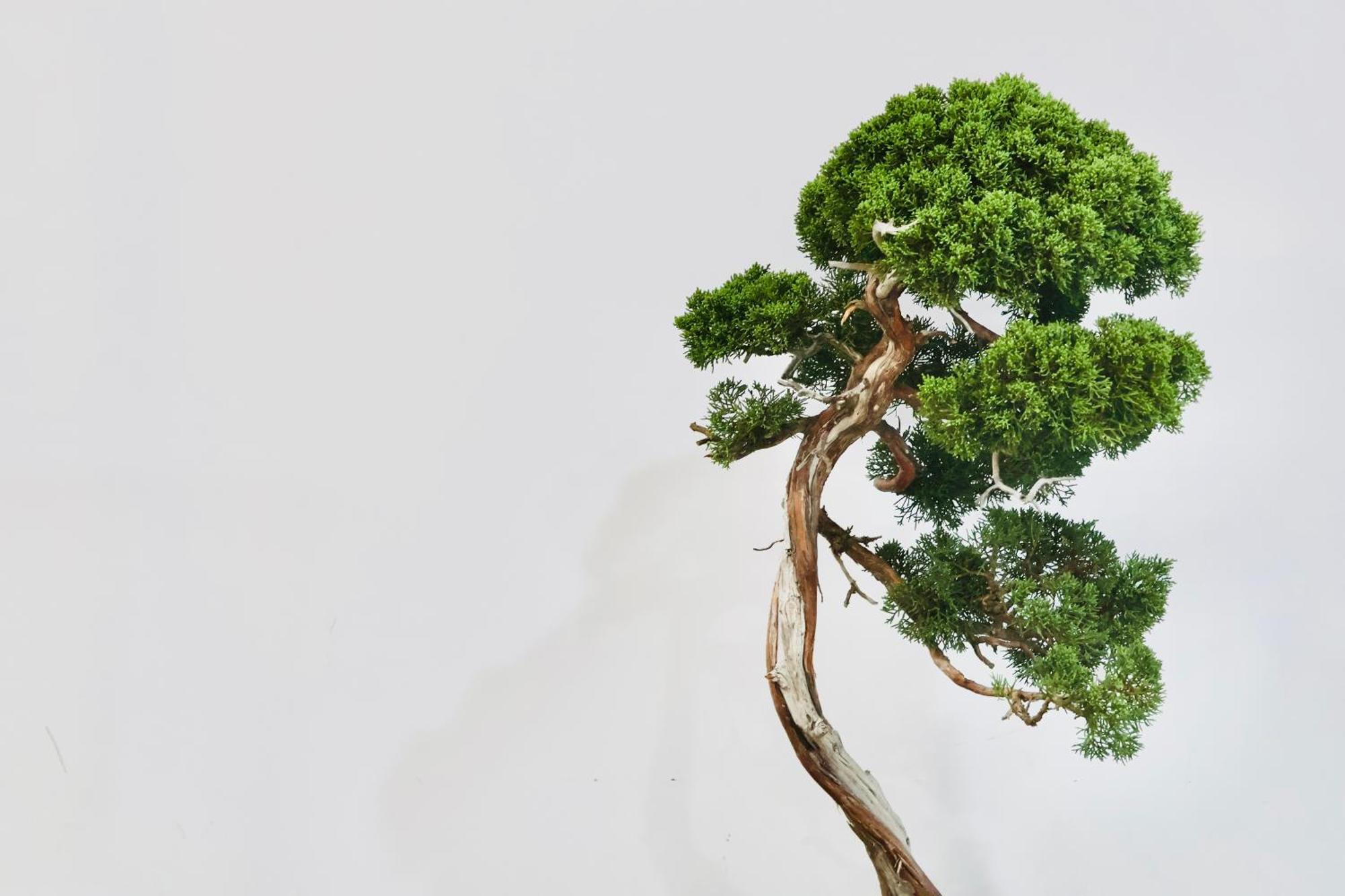The Root2 Hotel Kyoto Ngoại thất bức ảnh